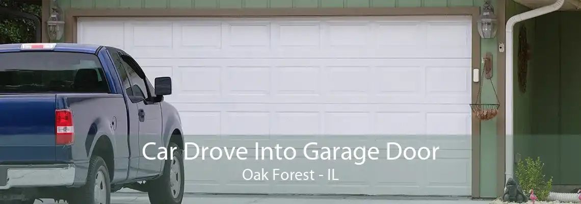 Car Drove Into Garage Door Oak Forest - IL