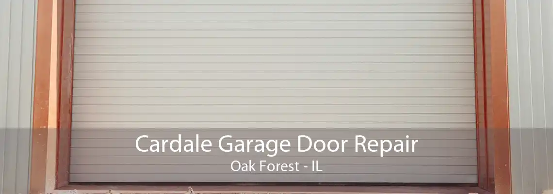 Cardale Garage Door Repair Oak Forest - IL