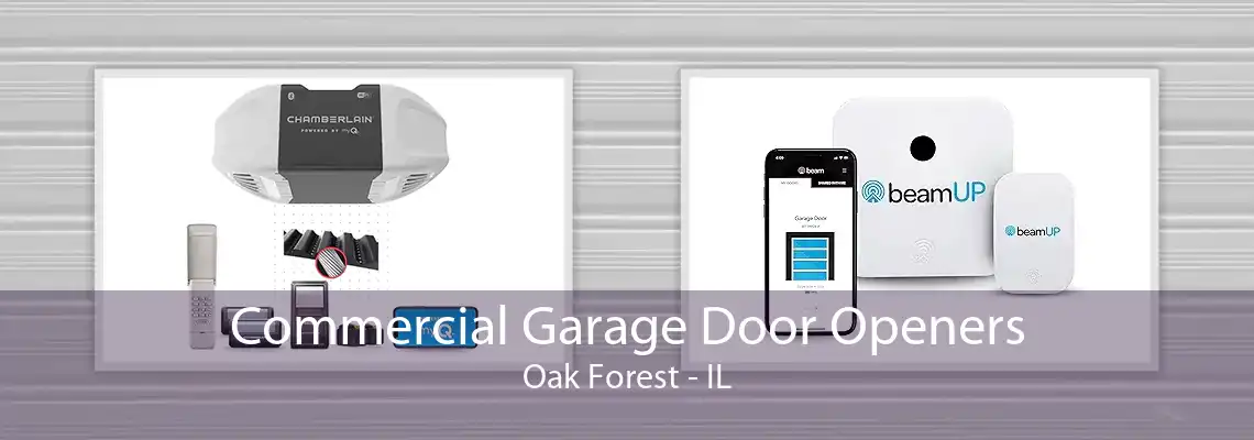 Commercial Garage Door Openers Oak Forest - IL