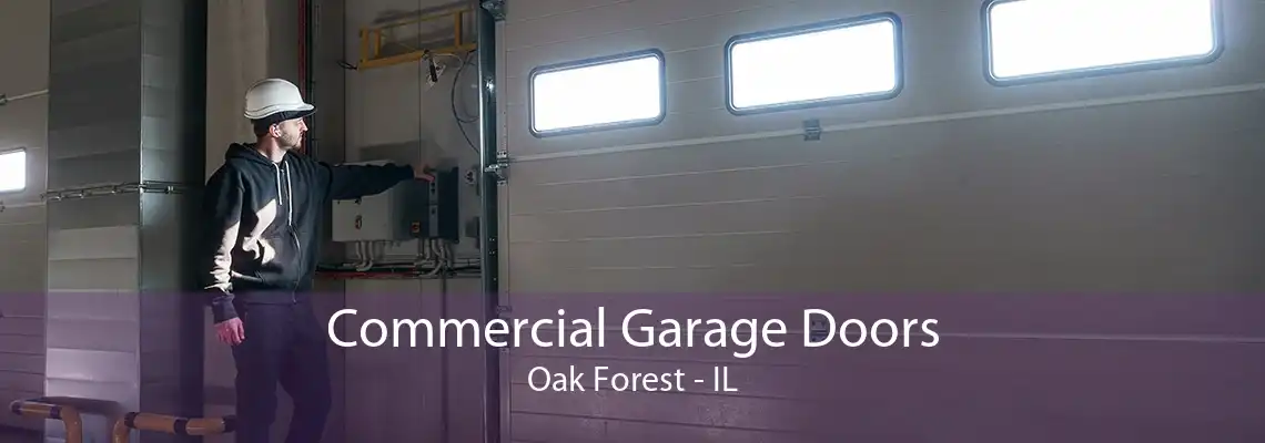 Commercial Garage Doors Oak Forest - IL