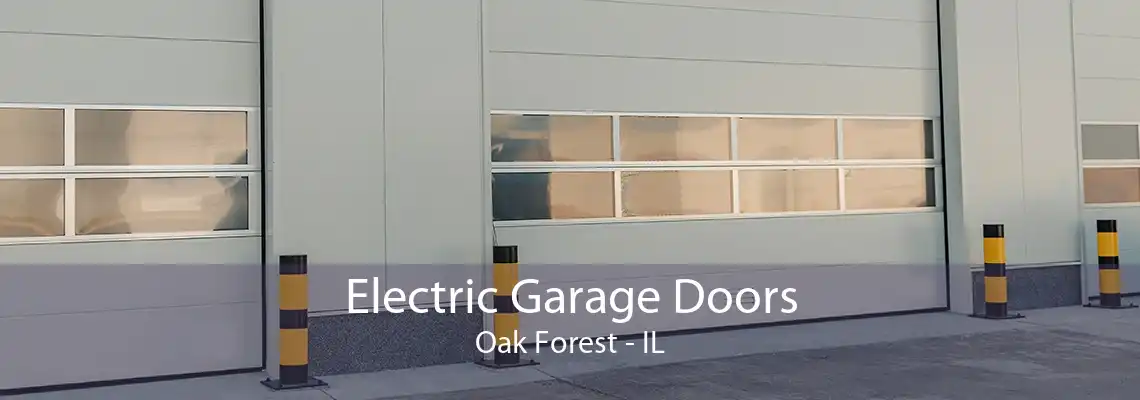 Electric Garage Doors Oak Forest - IL