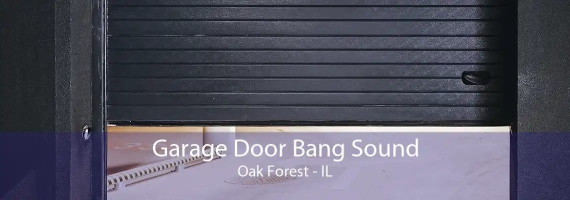 Garage Door Bang Sound Oak Forest - IL