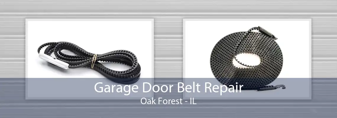 Garage Door Belt Repair Oak Forest - IL