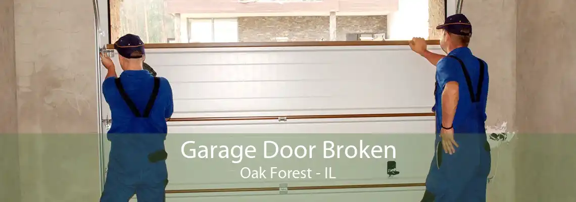 Garage Door Broken Oak Forest - IL