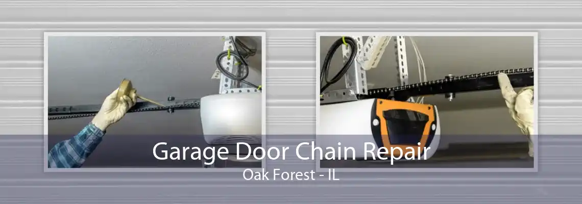 Garage Door Chain Repair Oak Forest - IL