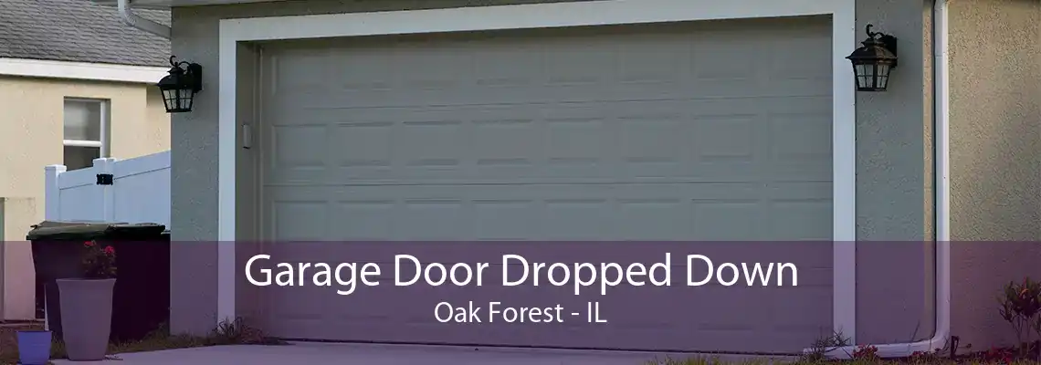 Garage Door Dropped Down Oak Forest - IL