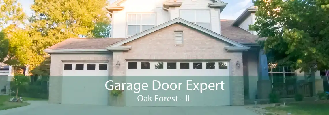 Garage Door Expert Oak Forest - IL