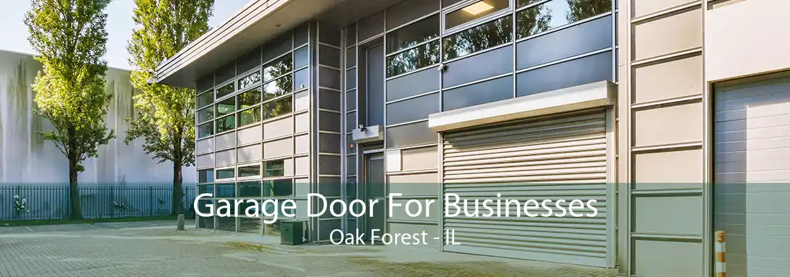 Garage Door For Businesses Oak Forest - IL