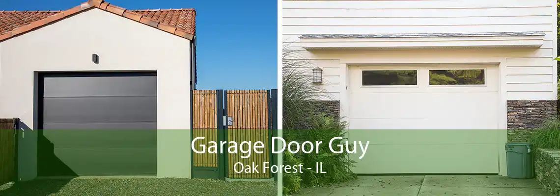 Garage Door Guy Oak Forest - IL