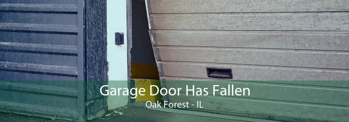 Garage Door Has Fallen Oak Forest - IL