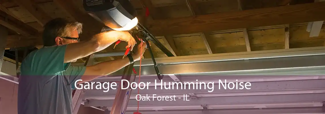 Garage Door Humming Noise Oak Forest - IL