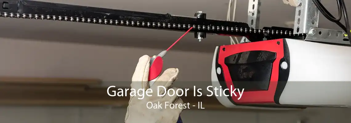 Garage Door Is Sticky Oak Forest - IL