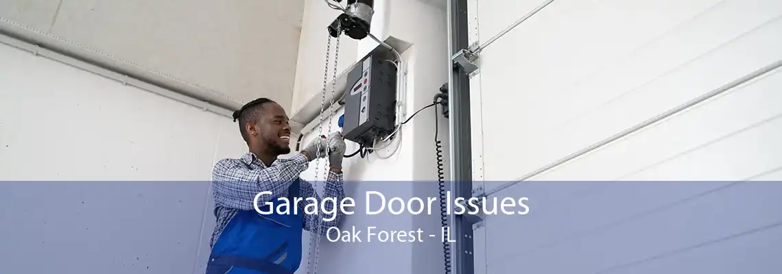 Garage Door Issues Oak Forest - IL