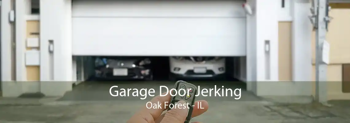 Garage Door Jerking Oak Forest - IL