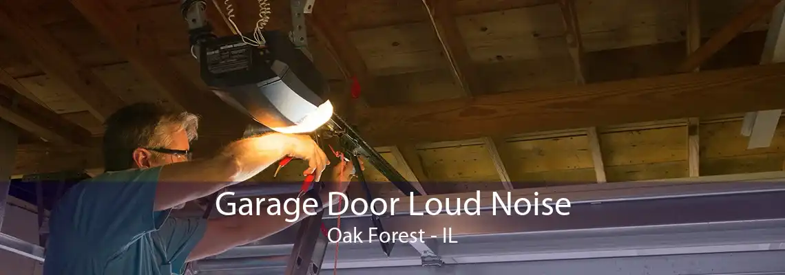 Garage Door Loud Noise Oak Forest - IL