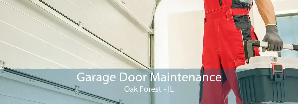 Garage Door Maintenance Oak Forest - IL