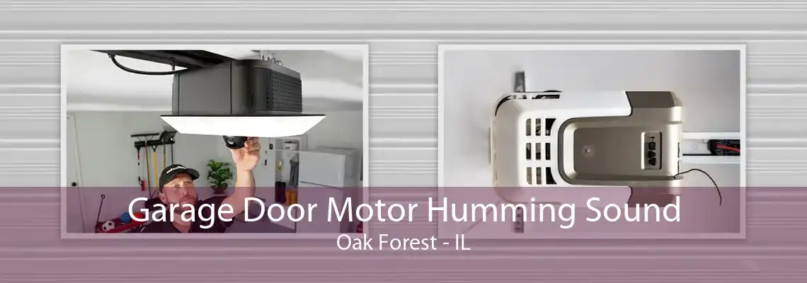 Garage Door Motor Humming Sound Oak Forest - IL