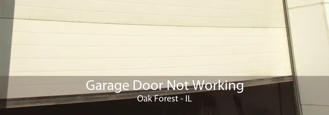 Garage Door Not Working Oak Forest - IL