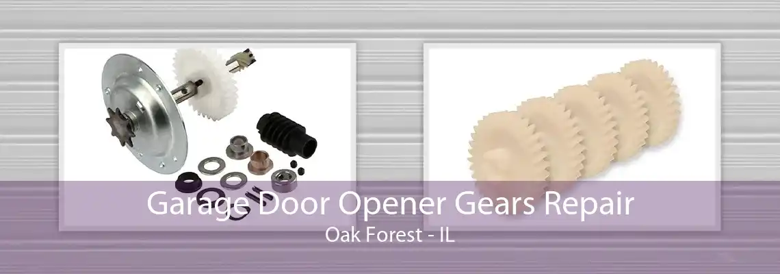 Garage Door Opener Gears Repair Oak Forest - IL