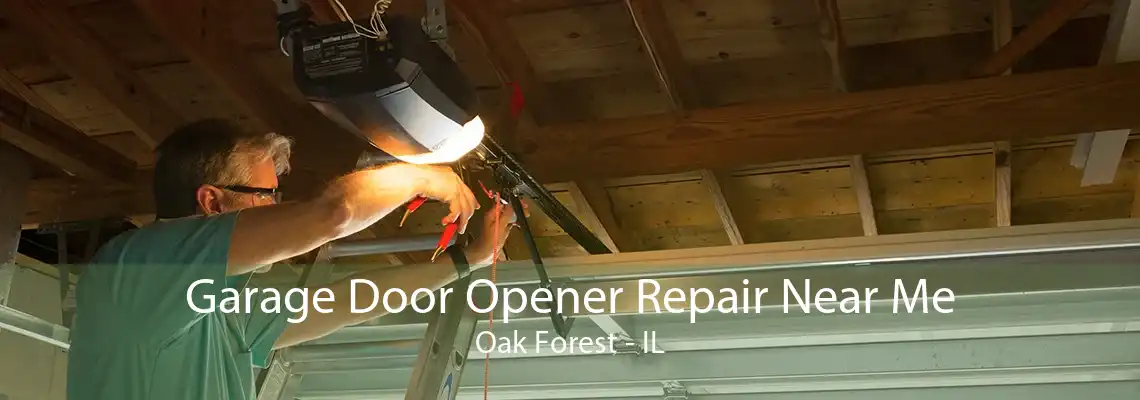 Garage Door Opener Repair Near Me Oak Forest - IL