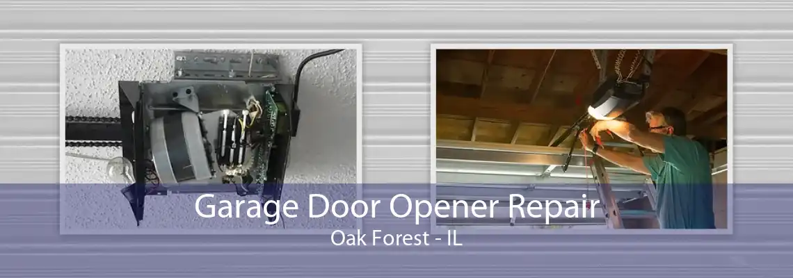 Garage Door Opener Repair Oak Forest - IL