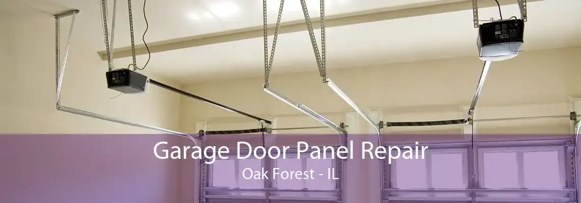 Garage Door Panel Repair Oak Forest - IL