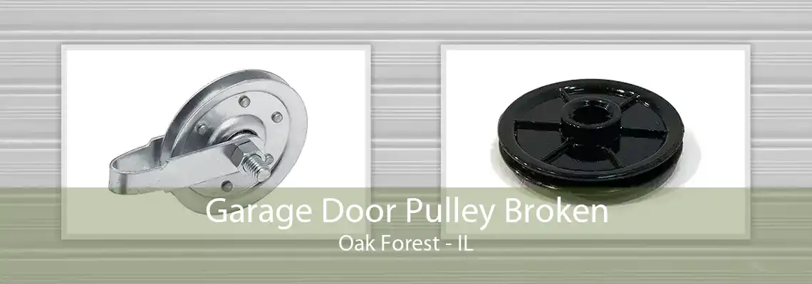 Garage Door Pulley Broken Oak Forest - IL