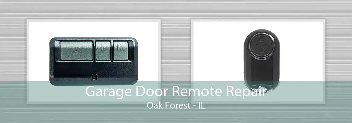 Garage Door Remote Repair Oak Forest - IL