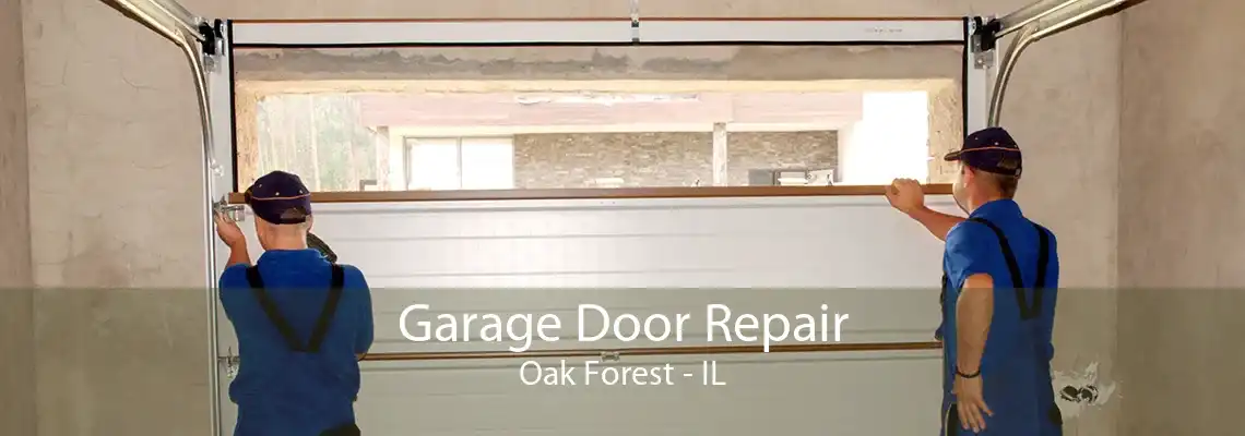 Garage Door Repair Oak Forest - IL