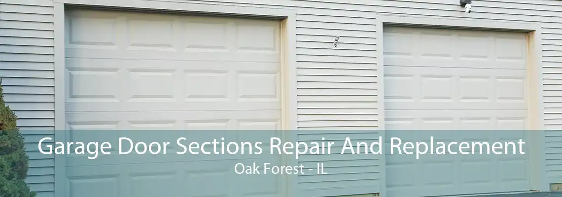 Garage Door Sections Repair And Replacement Oak Forest - IL