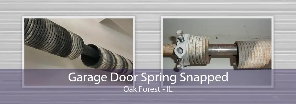 Garage Door Spring Snapped Oak Forest - IL