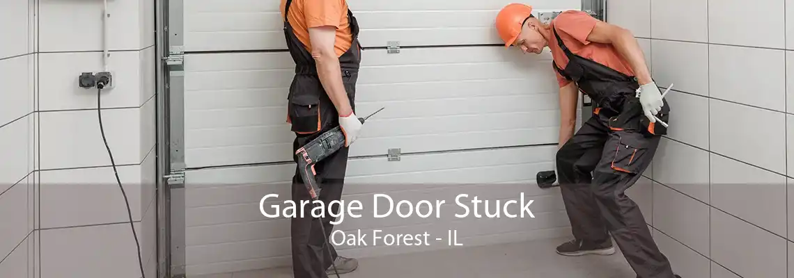 Garage Door Stuck Oak Forest - IL