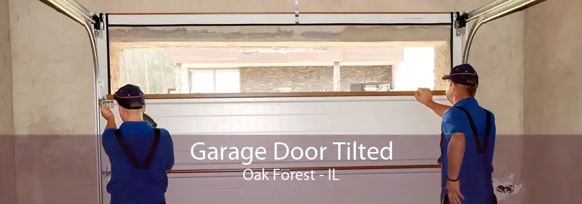 Garage Door Tilted Oak Forest - IL