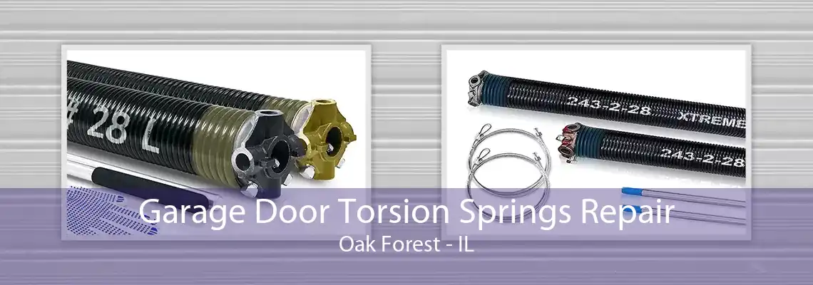 Garage Door Torsion Springs Repair Oak Forest - IL