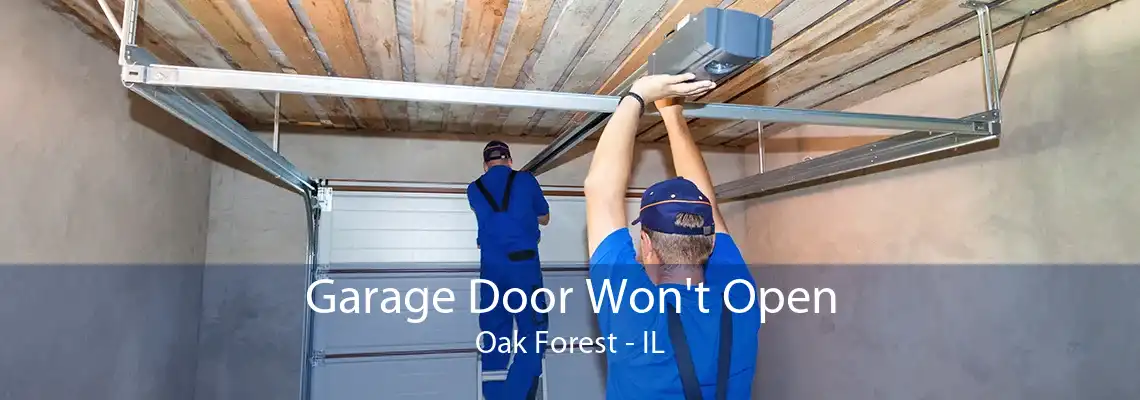 Garage Door Won't Open Oak Forest - IL