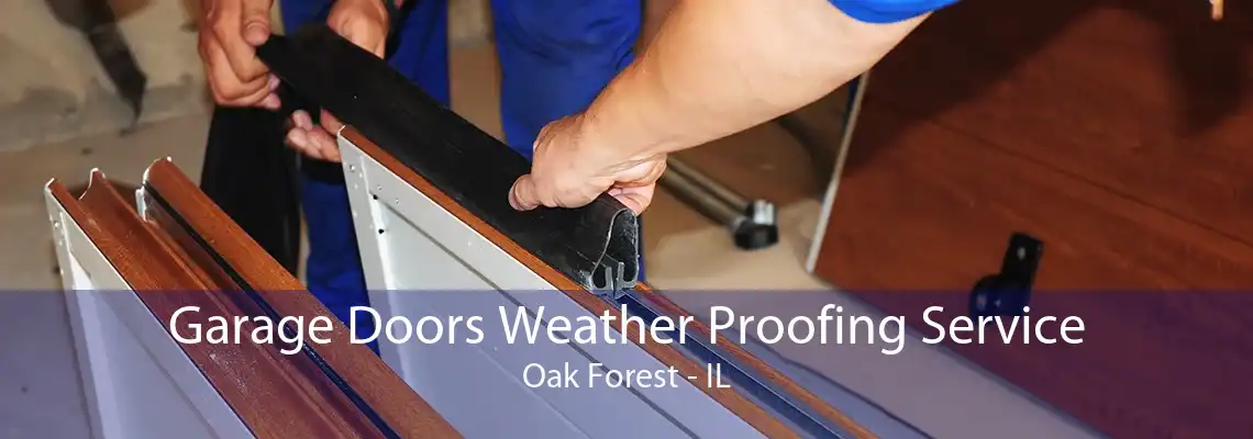 Garage Doors Weather Proofing Service Oak Forest - IL