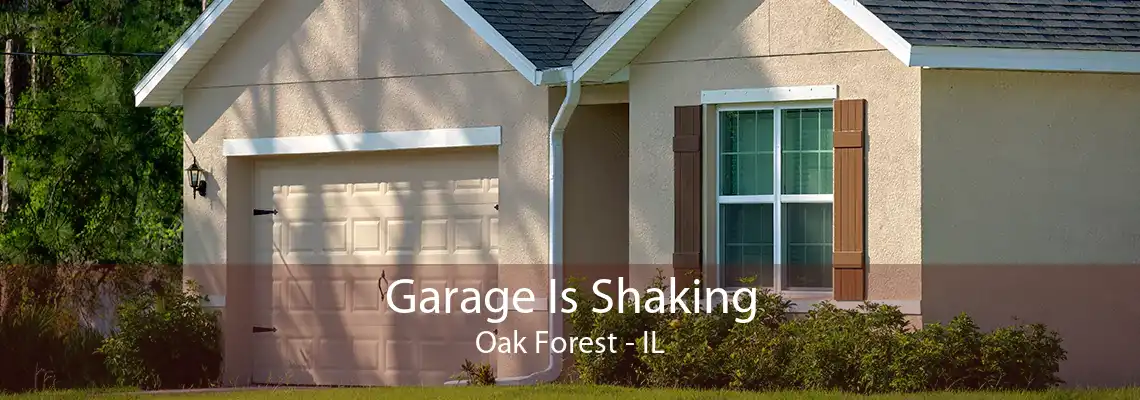 Garage Is Shaking Oak Forest - IL