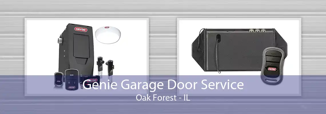 Genie Garage Door Service Oak Forest - IL