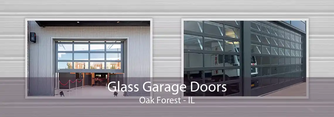 Glass Garage Doors Oak Forest - IL