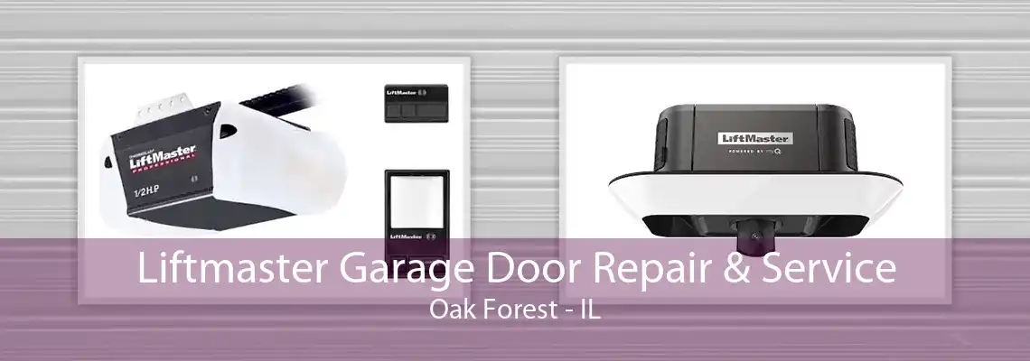 Liftmaster Garage Door Repair & Service Oak Forest - IL