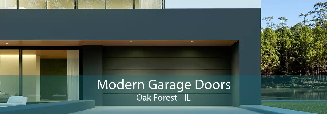 Modern Garage Doors Oak Forest - IL