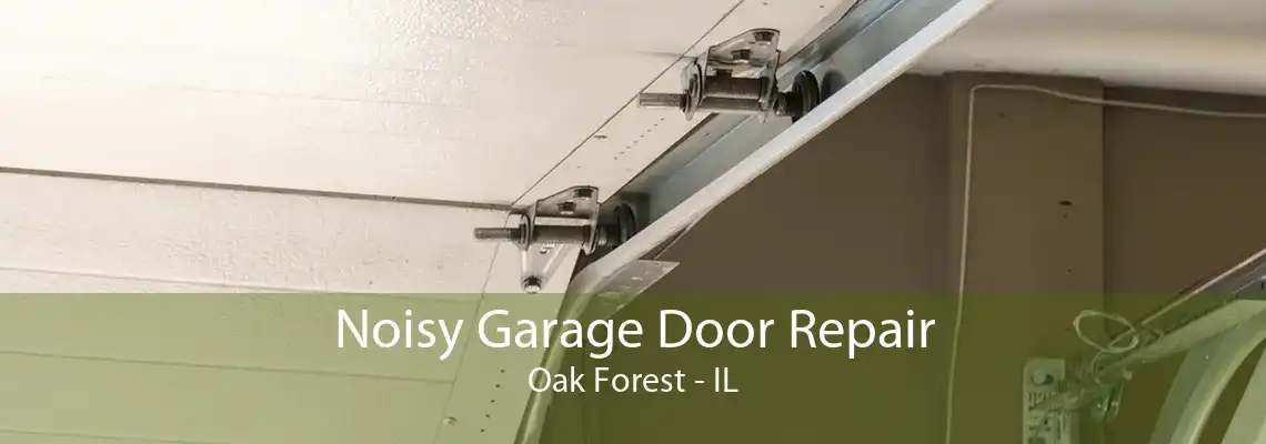 Noisy Garage Door Repair Oak Forest - IL