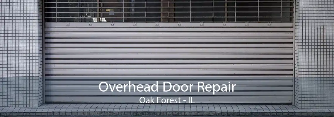 Overhead Door Repair Oak Forest - IL