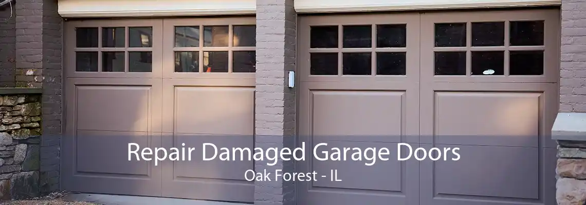 Repair Damaged Garage Doors Oak Forest - IL