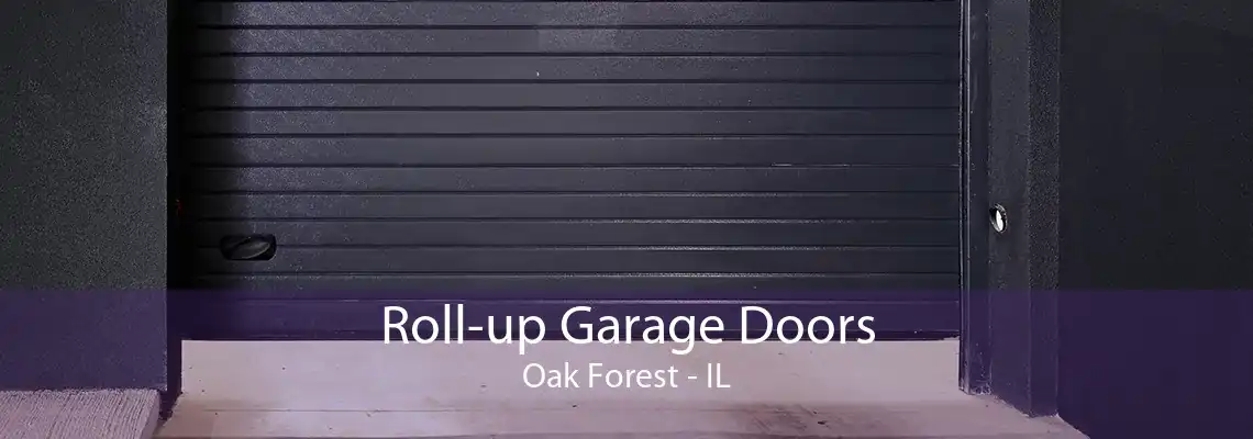 Roll-up Garage Doors Oak Forest - IL