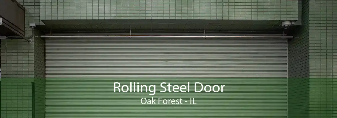 Rolling Steel Door Oak Forest - IL