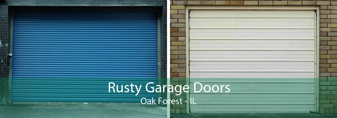 Rusty Garage Doors Oak Forest - IL