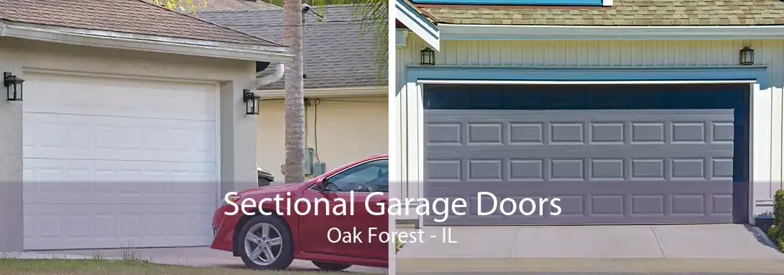 Sectional Garage Doors Oak Forest - IL